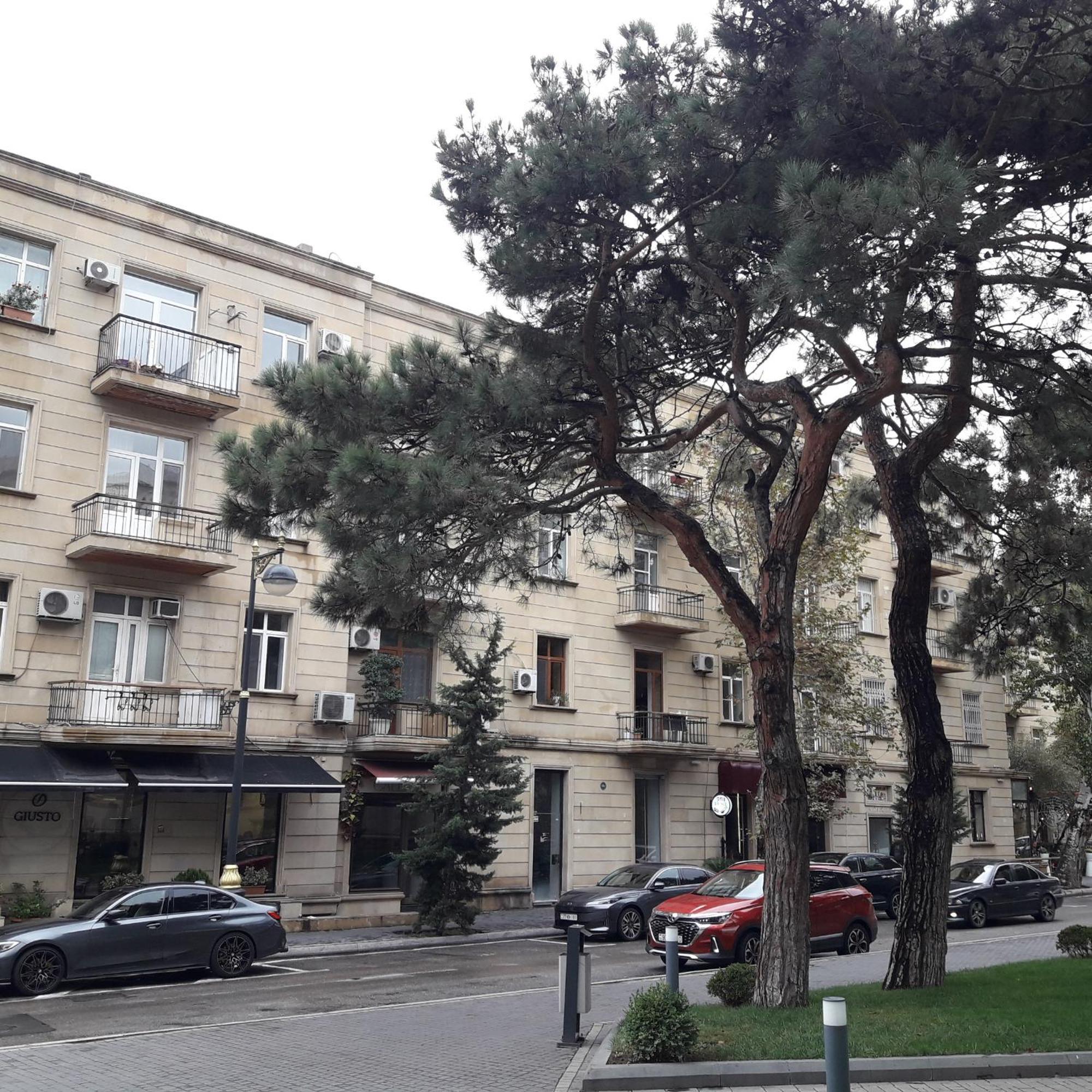 Apartment Niyazi 5 Baku Ngoại thất bức ảnh